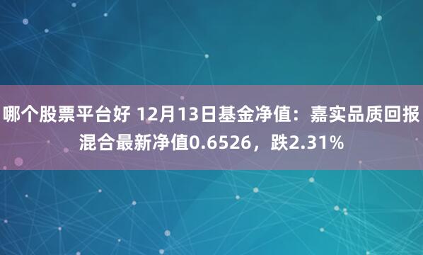 哪个股票平台好 12月13日基金净值：嘉实品质回报混合最新净值0.6526，跌2.31%