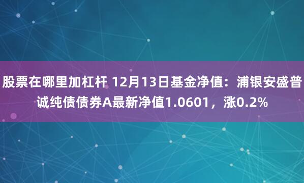 股票在哪里加杠杆 12月13日基金净值：浦银安盛普诚纯债债券A最新净值1.0601，涨0.2%