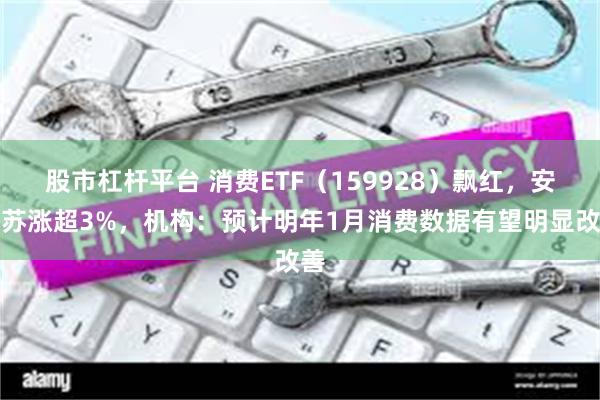 股市杠杆平台 消费ETF（159928）飘红，安迪苏涨超3%，机构：预计明年1月消费数据有望明显改善