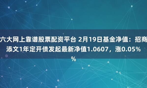 六大网上靠谱股票配资平台 2月19日基金净值：招商添文1年定开债发起最新净值1.0607，涨0.05%