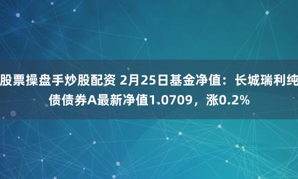 股票操盘手炒股配资 2月25日基金净值：长城瑞利纯债债券A最新净值1.0709，涨0.2%